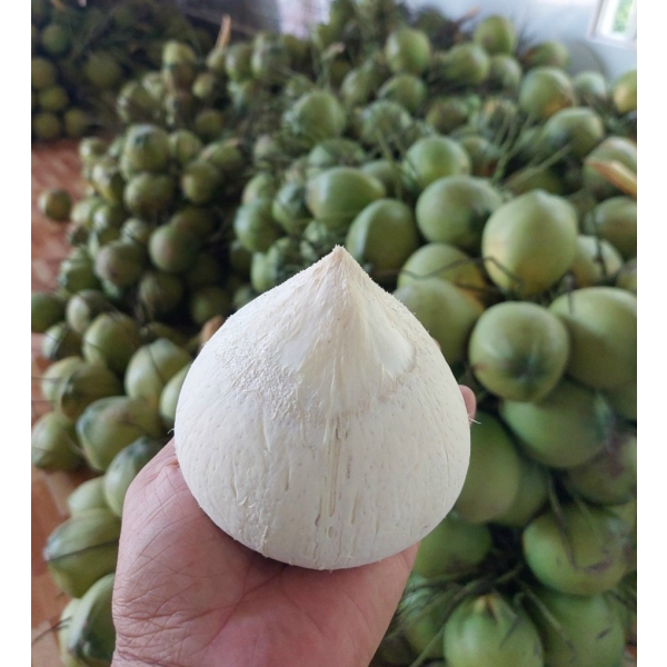 Dừa gọt Trọc 