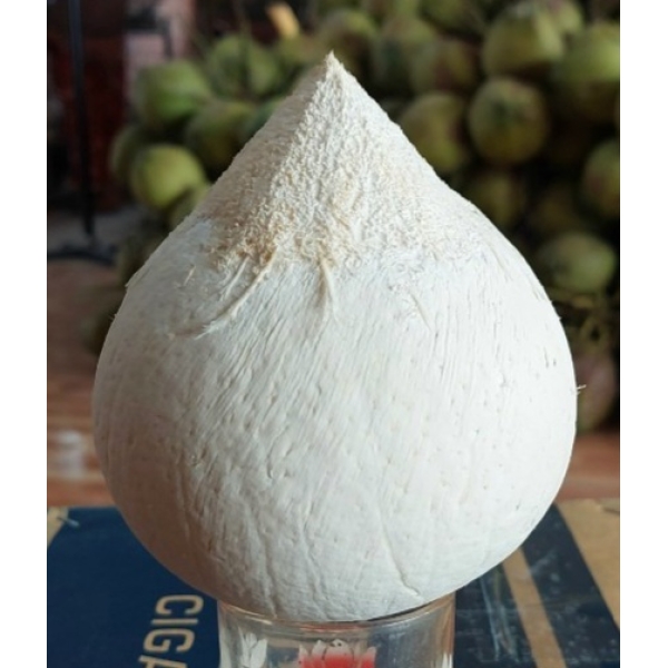 Dừa gọt Trọc 